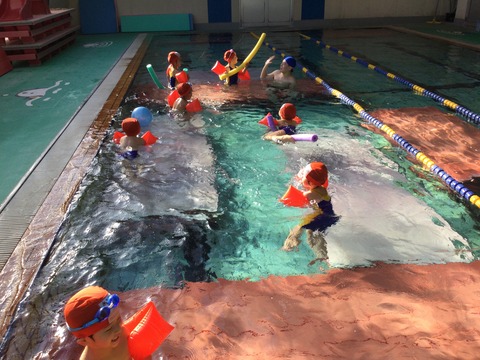 6115AA57-E4A1-489E-8A81-4F1B8F1B6C9A