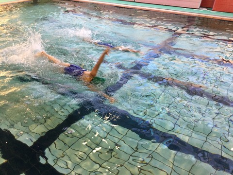 C65E8CC5-D062-45EF-BC5B-83023F8154ED