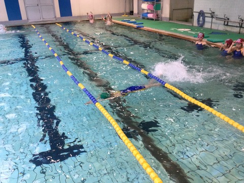 F857F7F8-DBFE-4DD0-818C-F7C24A07523C