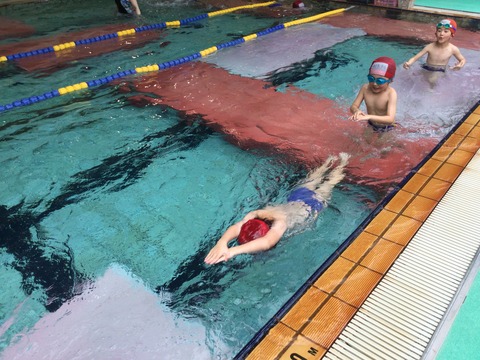 7E1B936E-F94F-415D-931E-522B61429103