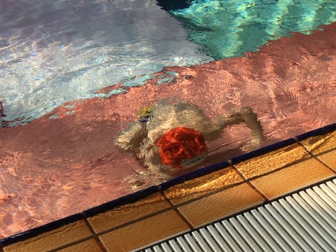 493ED3D9-5C4D-4127-BF31-BF24A40A7BCC