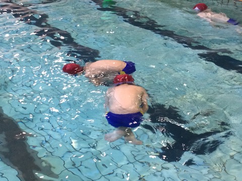 37D5ECB3-1387-442B-A883-B76E0E105C69