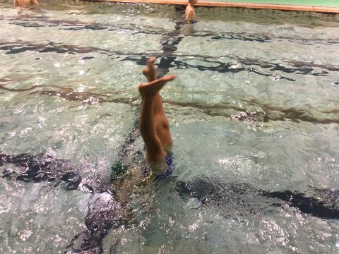 E13323C4-58E4-4312-9774-23643B02B567