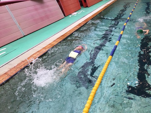 0E29E131-1ACD-4A95-998F-F39F61CC386D