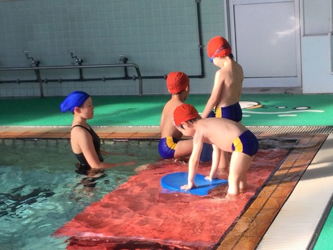 8D00B2C7-173A-4CB5-908C-30EE5D3E59EB