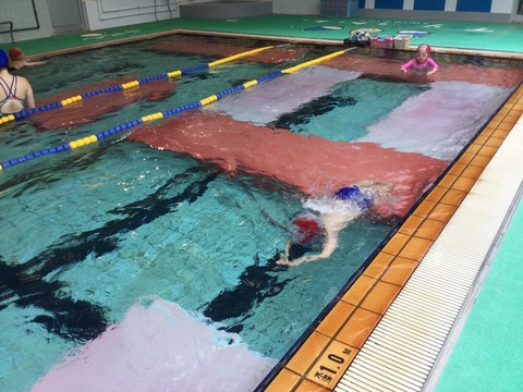 E57DBC78-E154-4B1C-8C8A-2988FBFB6AD8