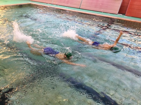 F1303816-0CFE-4464-9A55-FA4AC6827C46