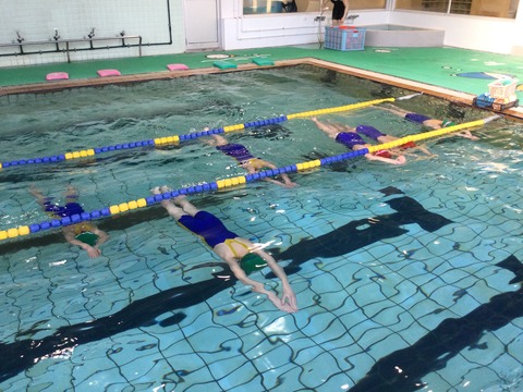 6E79C4EF-E562-4282-BF28-4804825AAC14