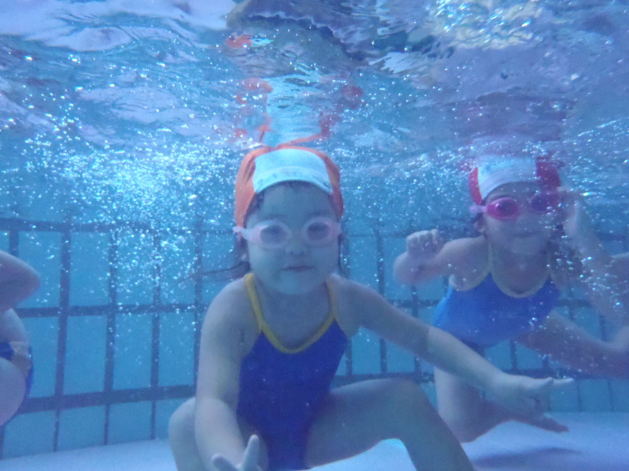 11月6日 水 豊四季スイミング