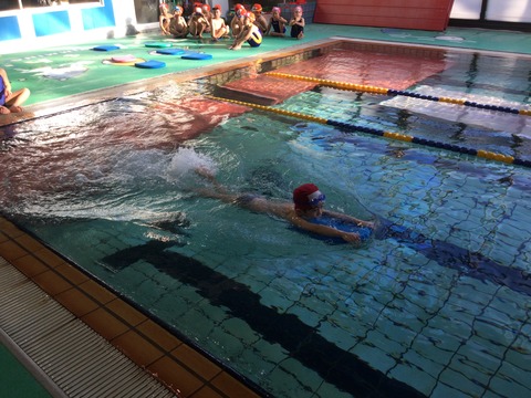 FB3E9EBC-6697-435E-B766-ABAB29DC522E