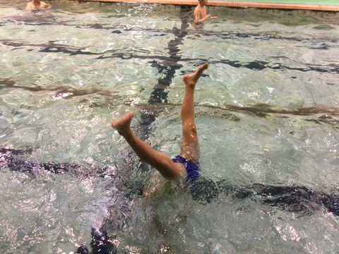 208C5B8F-ABAE-4A1B-9649-25363F2939E1