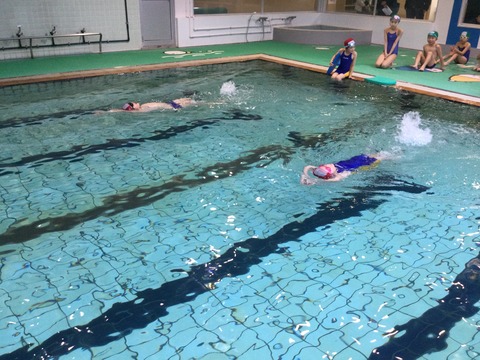 21F50A2B-B891-43B6-9923-9F524AD02251