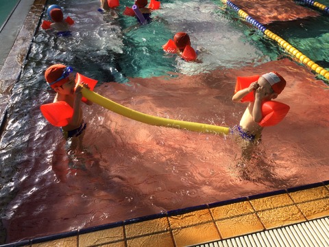 1C81A69D-28C0-4DE8-A548-074A4DCD9690