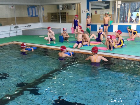 E4D42FDB-FC66-4868-B82F-79AC9AFC2705