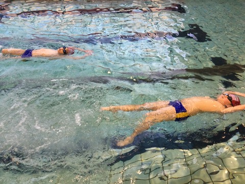 5F8EC4C1-ACA5-43B7-B84A-380D570D7E1E