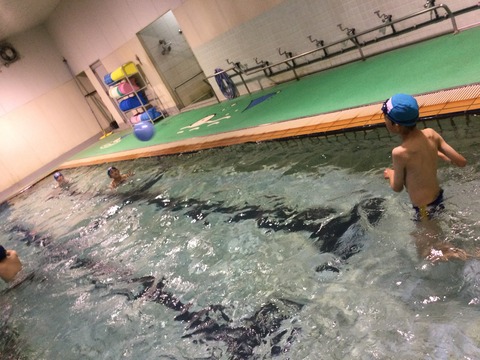 E3E57196-D116-44EA-9D15-D23FD512990B