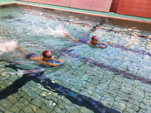 9103C11D-26EA-44E9-A72D-BCD0775BBA7C