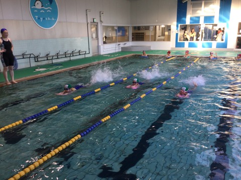 1ABDD10F-68F2-4CF4-8030-0CFC3851DEA5