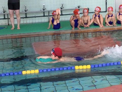 C35374AC-0676-4F3F-8A09-B7E8DEDBF85E