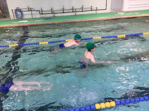 51069C30-1D3B-4E8C-9495-CC6FB3087B13