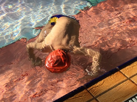 D189D170-5DEC-43DD-B2B7-FF629E1D2550