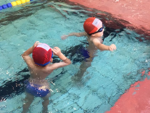 F0543434-1EB8-4F25-AA57-29AA8A8B0258