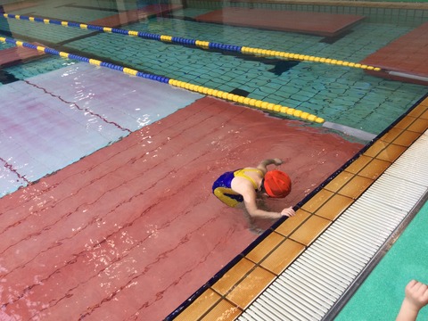 29A2FEC8-764E-423C-82F5-05BA23D20A6C