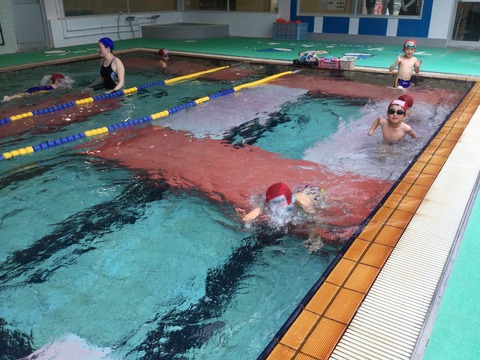 BA5B69FE-A4D8-46A3-B04E-D439C214F7AF