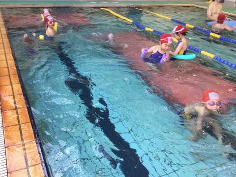 3A542DF5-D1DF-4908-8FAD-724E3990009C