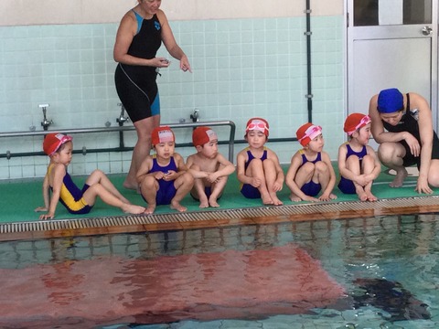 50D980CF-6D61-481A-B365-7290F4969F49