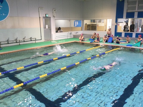 E3557958-C896-4E22-A83F-B3D516C256DC