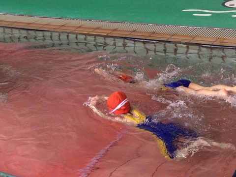 66ED45DC-2B5E-4D46-99E9-19A8CA00E2DB