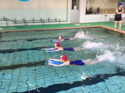 B2C2906E-2B61-444F-8812-CD2EC9F8FD15