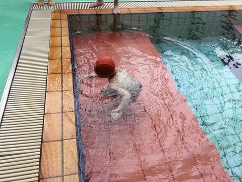 BA881AAA-AFAF-460D-8EC7-9EE0FC6B7602