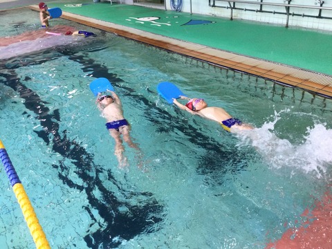 B5494BF5-3BF7-48AD-8B17-56240890FB54