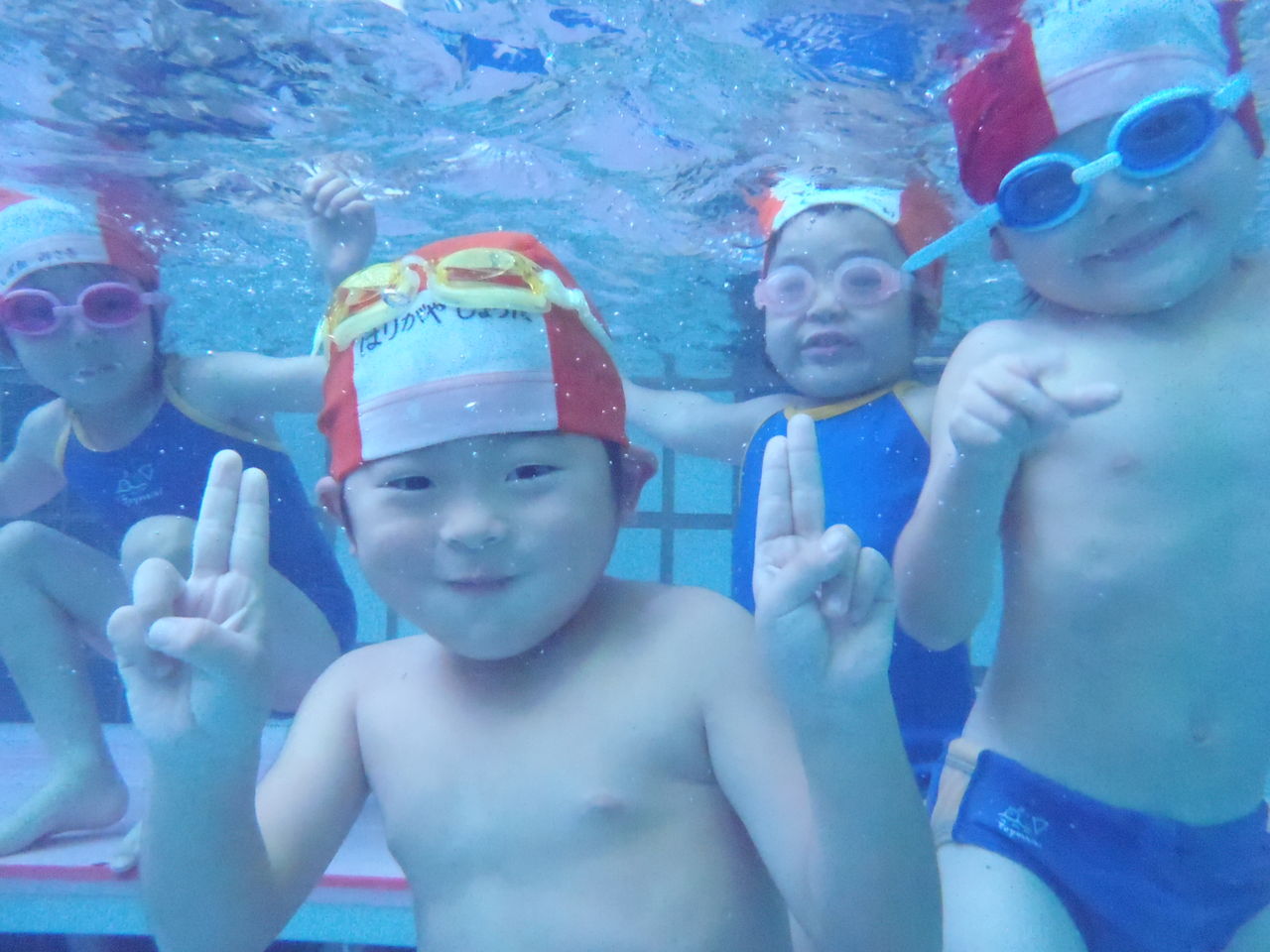 11月6日 水 豊四季スイミング