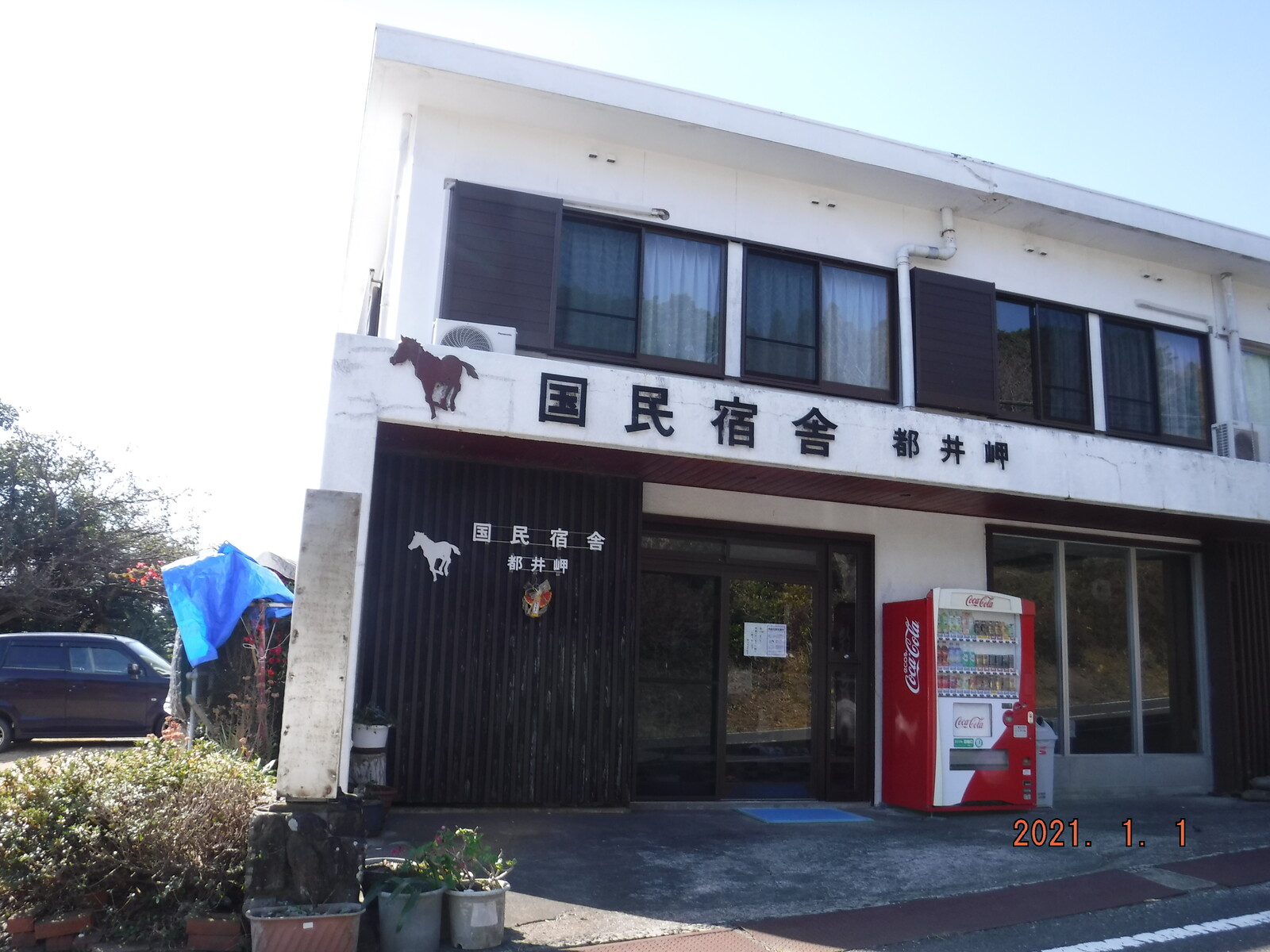 都井岬で岬馬鑑賞 Toyotaboxyのblog 都井岬で岬馬鑑賞 Toyotaboxyのblog