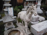 DSCF4688