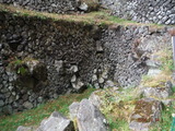 DSCF9187