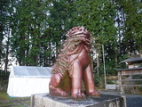 DSCF5377