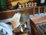 DSCF0491