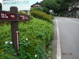 DSCF6974