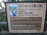 DSCF0591
