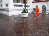 DSCF5908