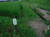 DSCF6532