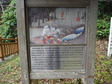 DSCF4575