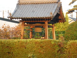 DSCF4696