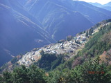 DSCF3355