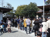 DSCF0547
