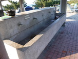 DSCF6239